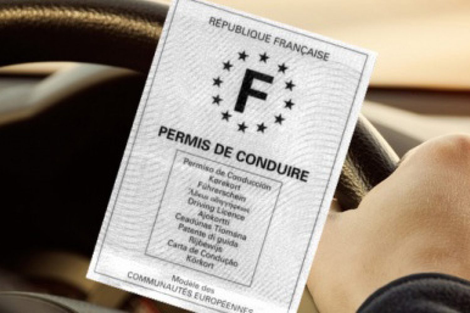 Avocat permis blanc Vendée