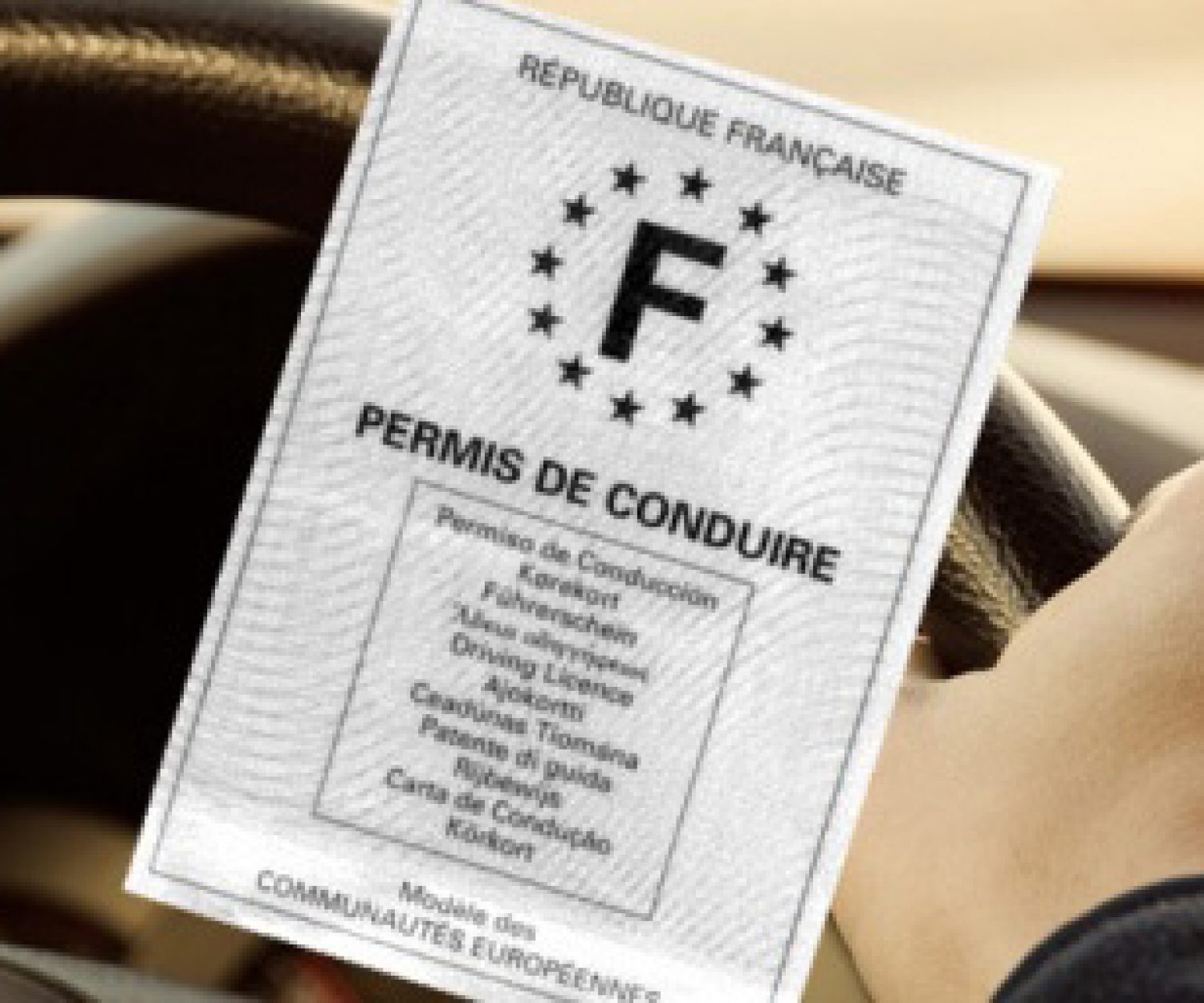 Avocat permis blanc Vendée