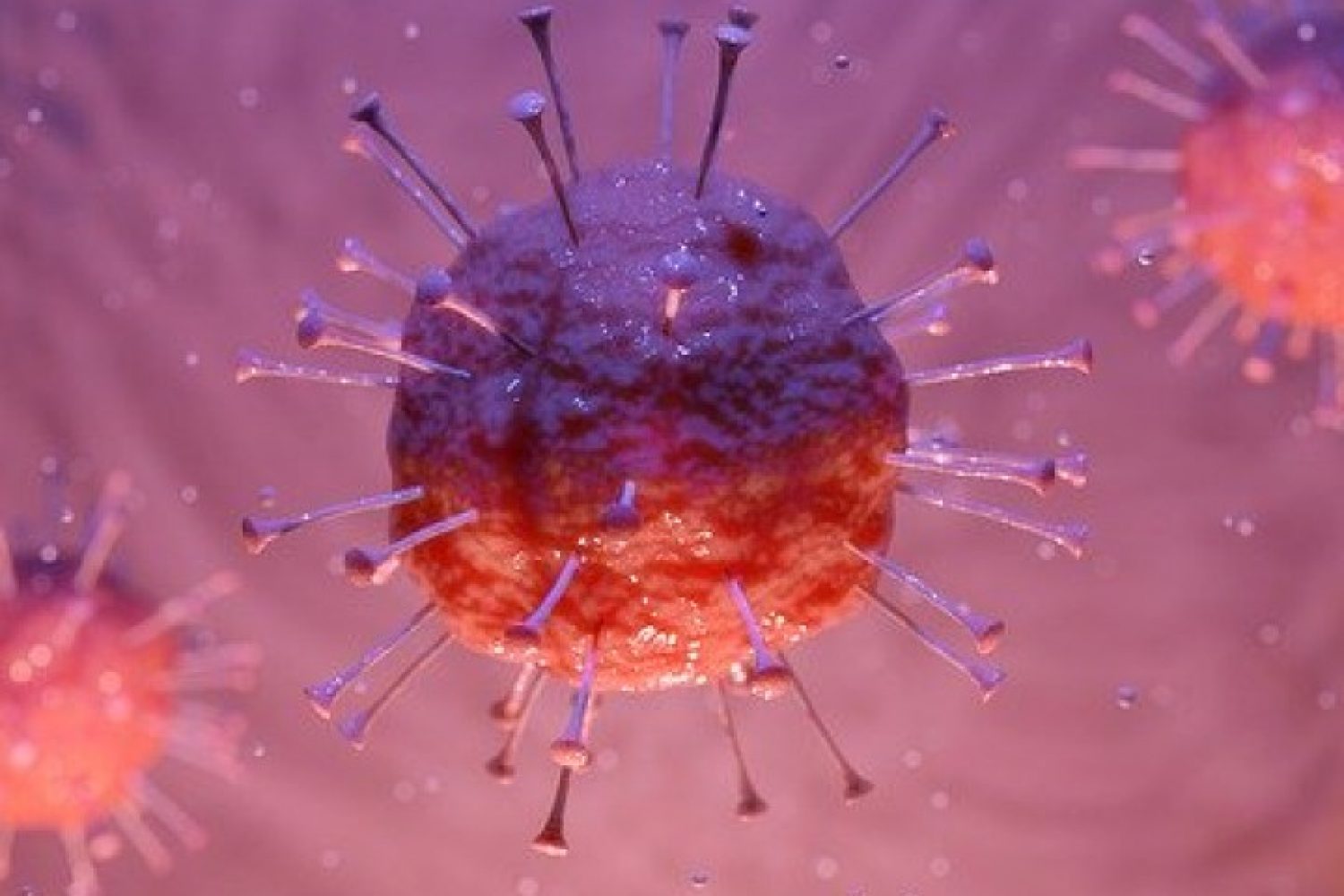avocat-vendee-covid19-coronavirus