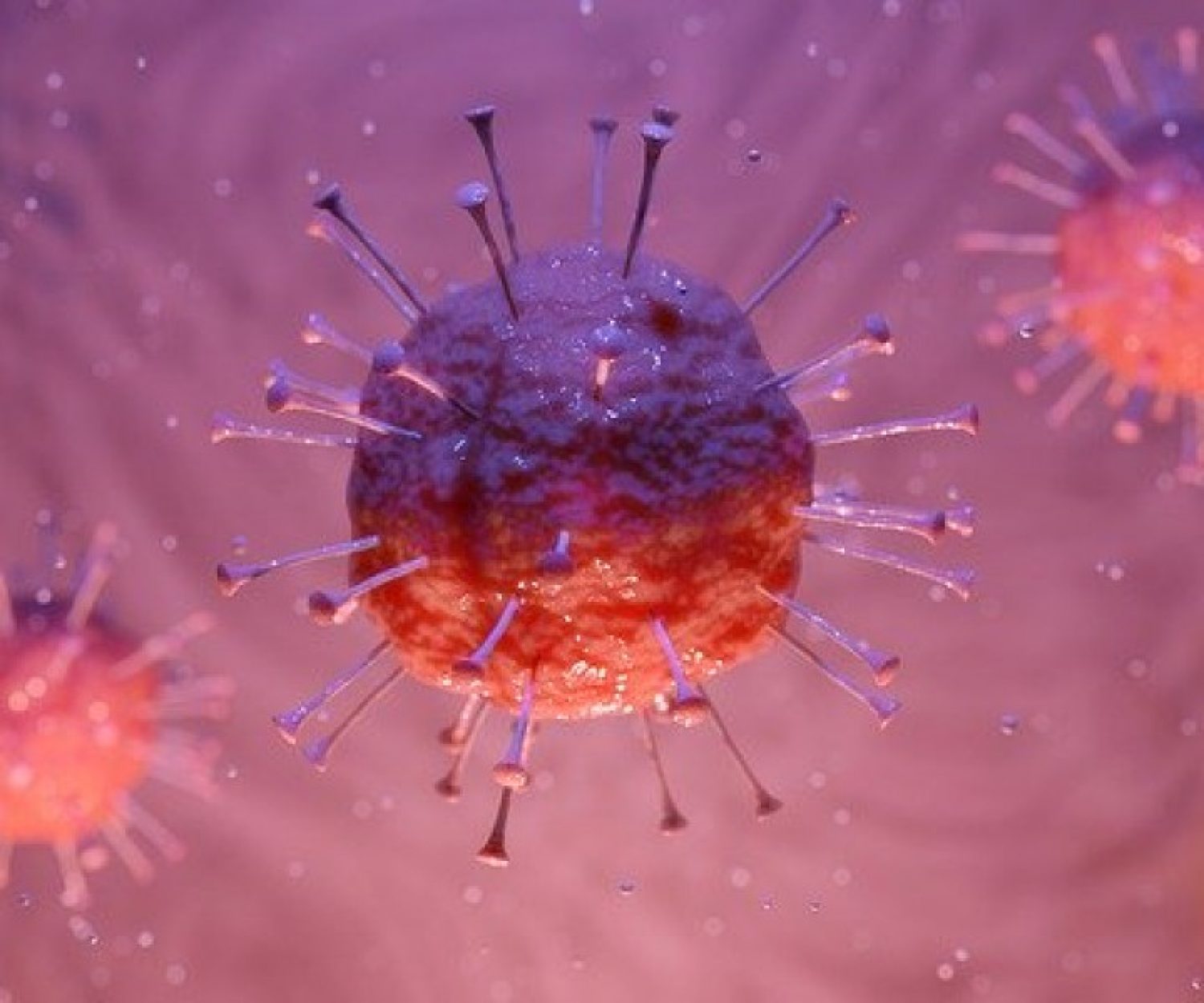 avocat-vendee-covid19-coronavirus