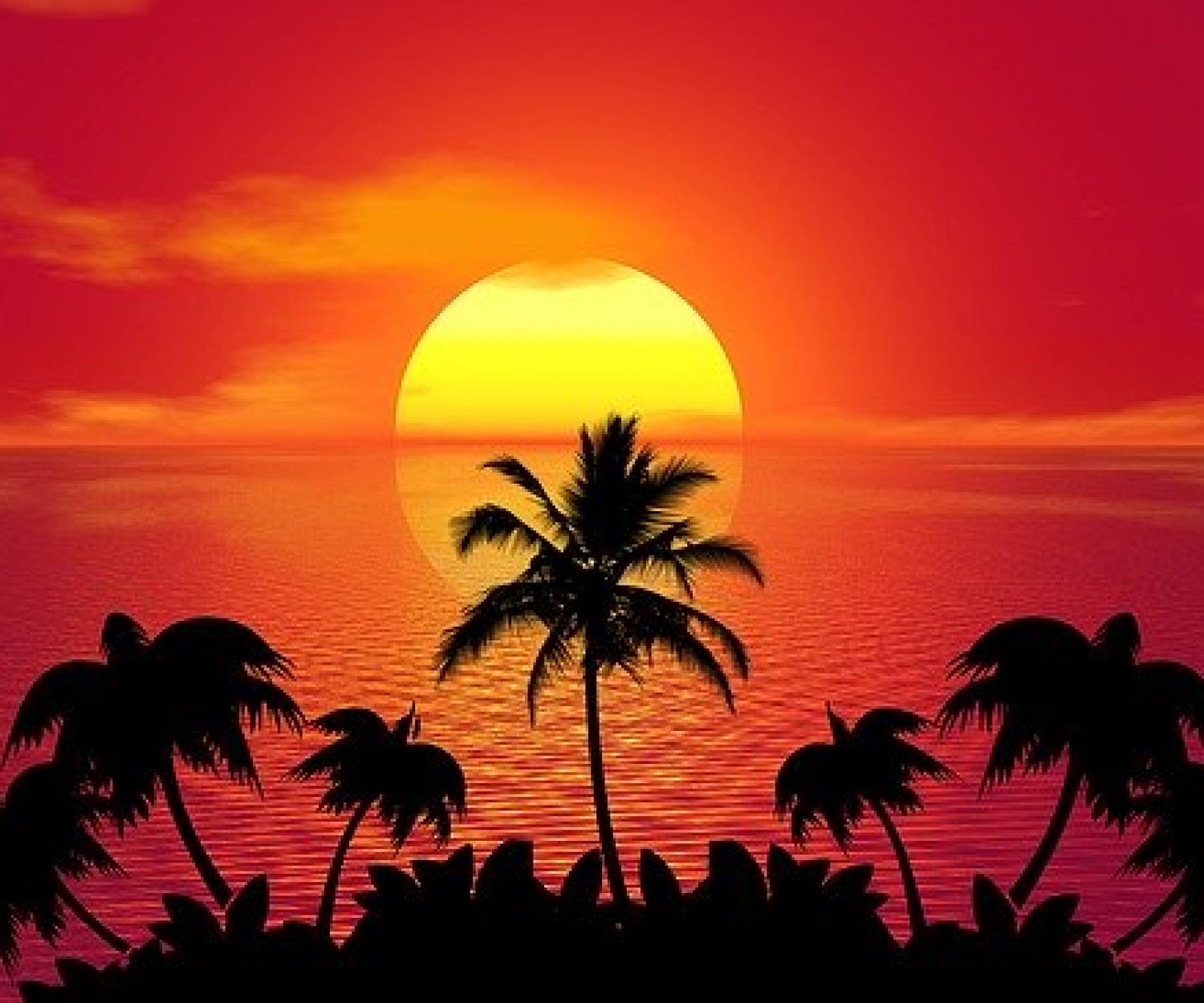 COVID19 CORONAVIRUS ET VOS VACANCES